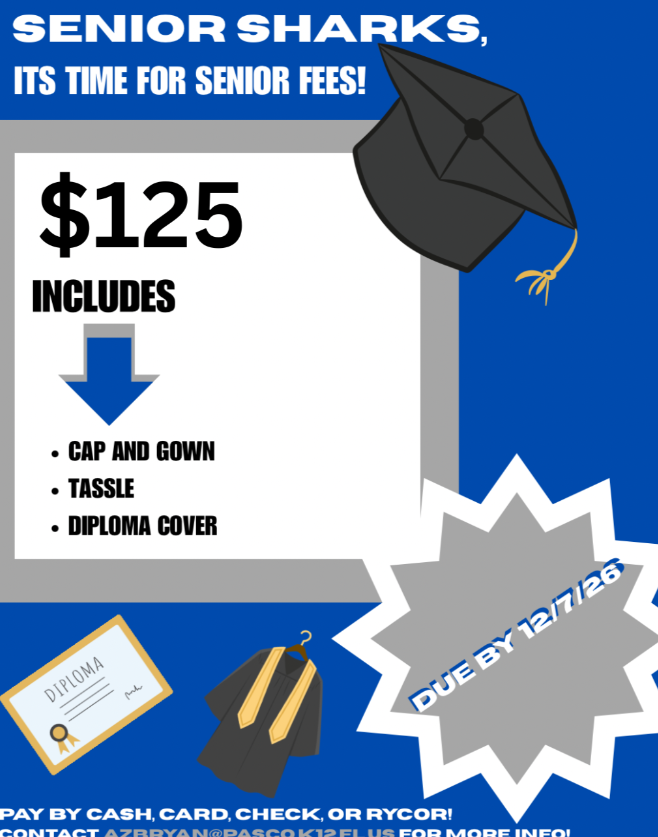 <p>Senior Fees Info</p>