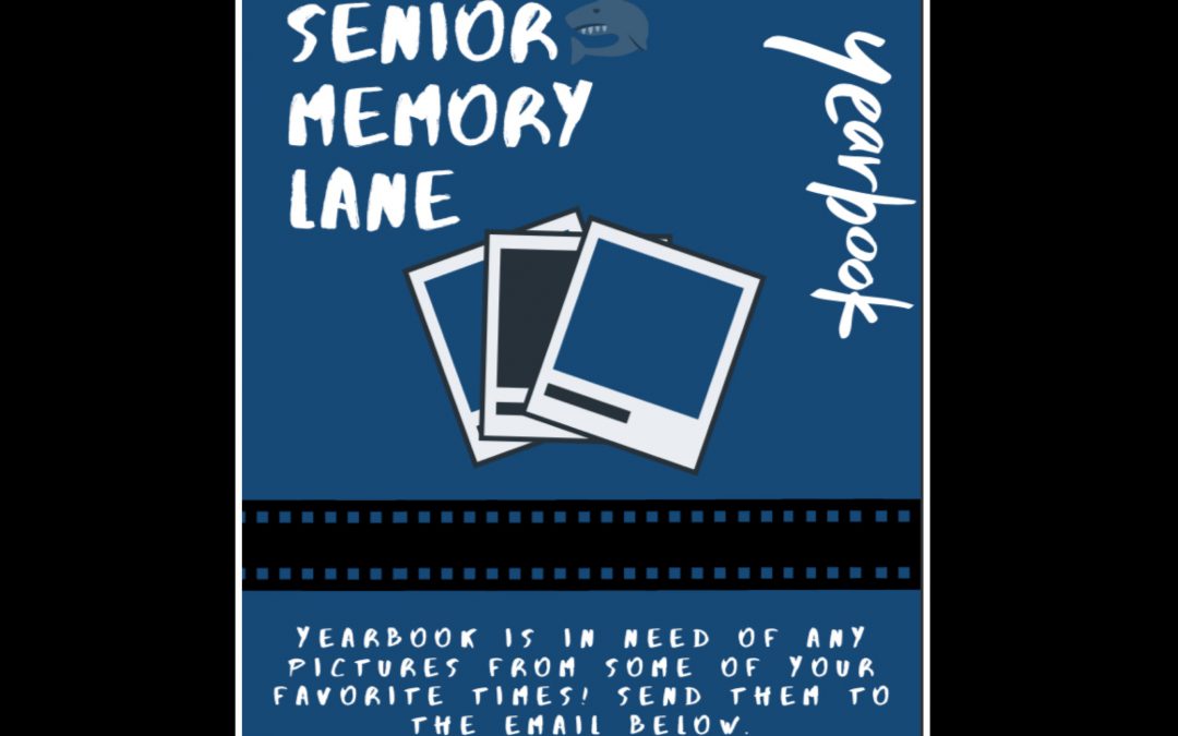 Senior Collage!